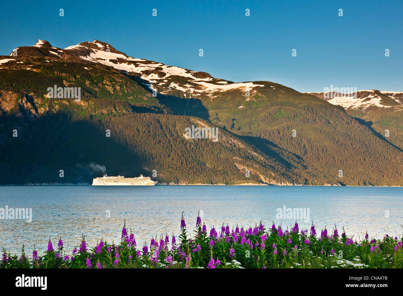 Kreuzfahrtschiff Chilkoot Inlet in Richtung Lynn Canal, Haines, Alaska Stockfoto