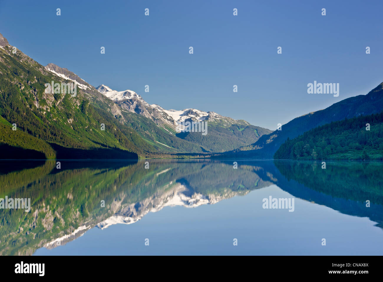 Malerische Aussicht des Chilkoot Lake, Haines, Alaska Southeast, Sommer Stockfoto