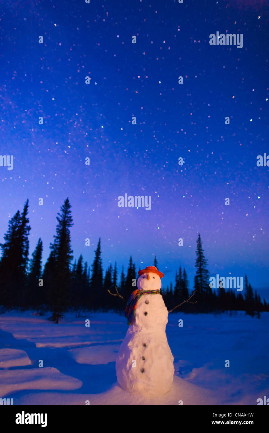 ZUSAMMENGESETZTE, Schneemann stehend in einem Feld in der Dämmerung, Winter, breiter Durchgang, Parks Highway, Yunan Alaska Stockfoto