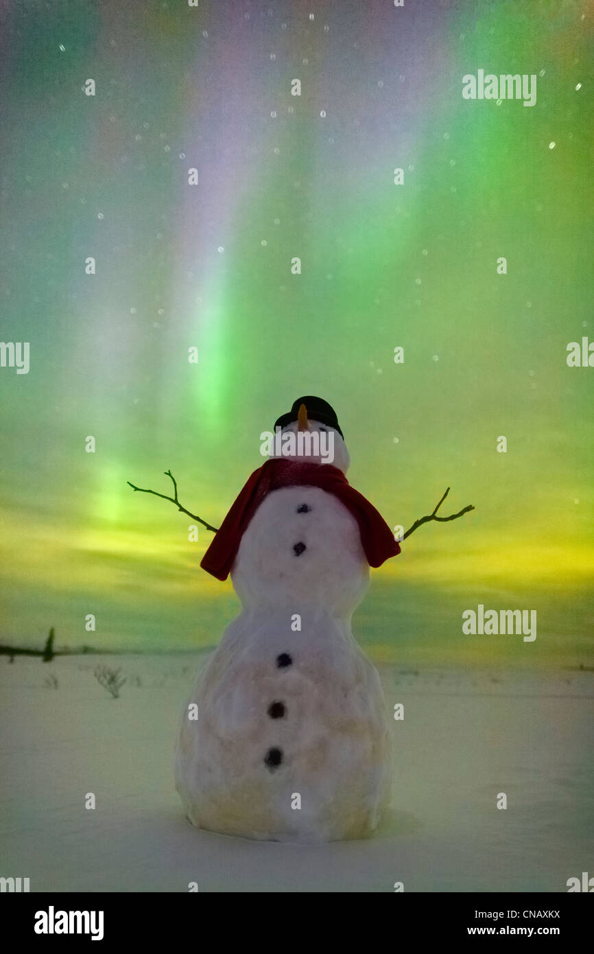 Digital verändert, Schneemann beobachten, Nordlicht, Winter, Eureka Summit, Glenn Highway, Yunan Alaska Stockfoto