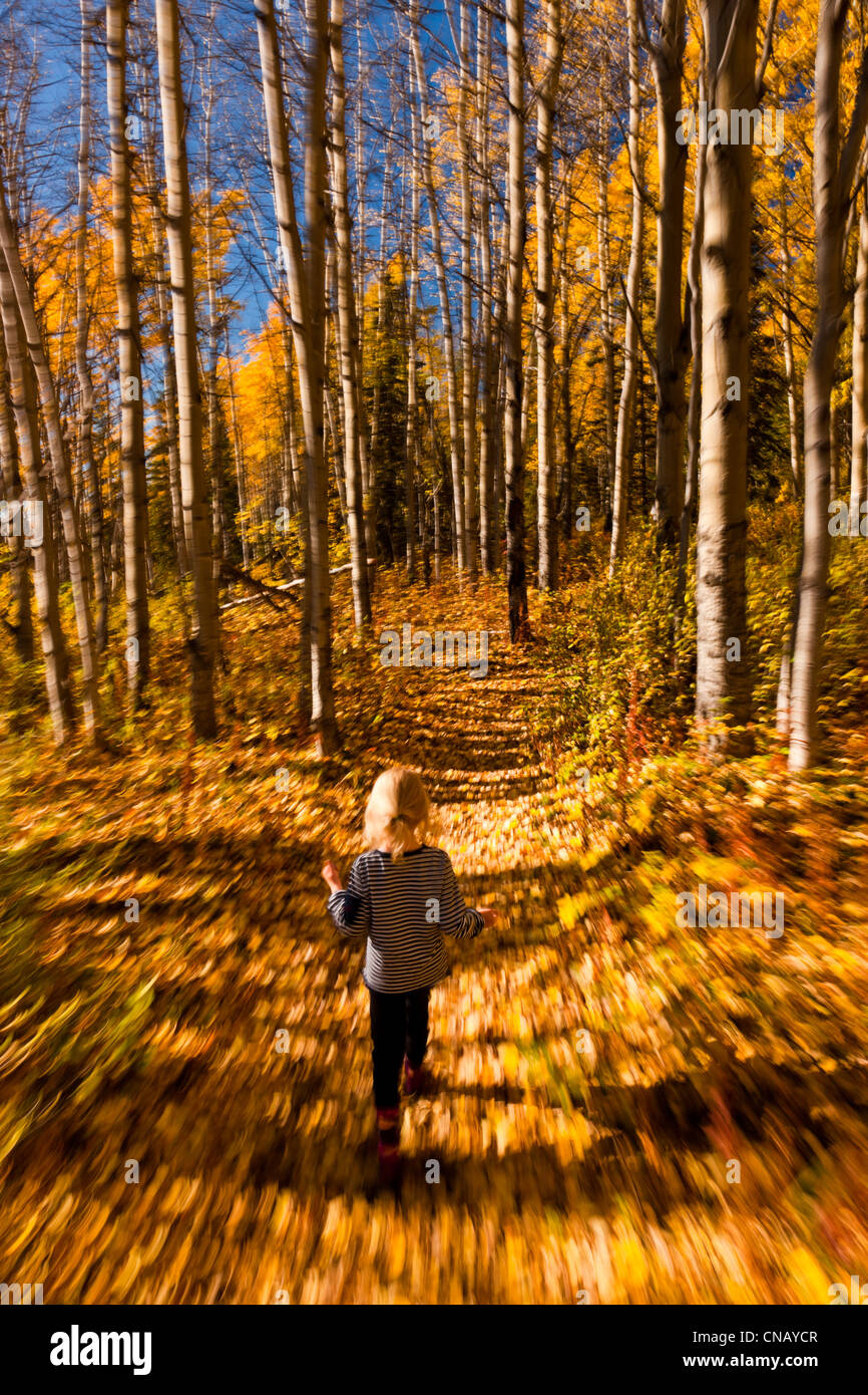 Junges Mädchen zu Fuß auf ein Blatt überdachten Weg bei der Matanuska Glacier Overlook entlang der Glenn Highway, Alaska, Herbst Stockfoto