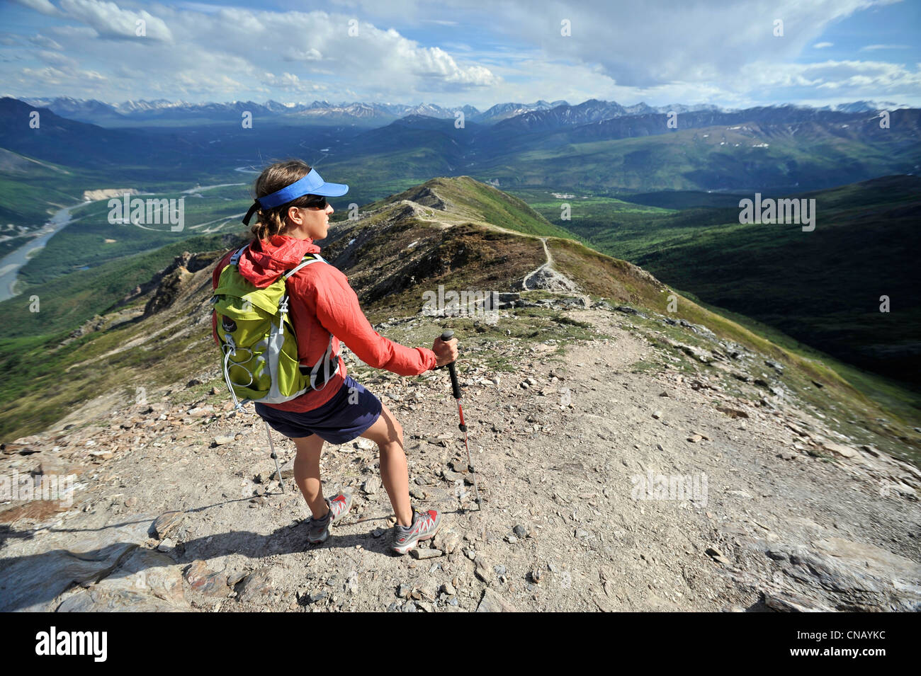 Weibliche Wanderer an der Spitze des Mt. Healy Overlook Trail im Denali Nationalpark & Preserve, innen Alaska, Sommer Stockfoto