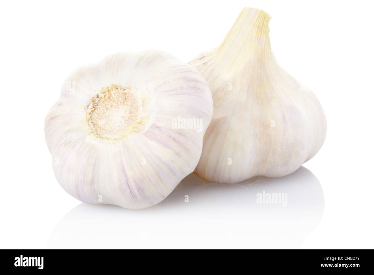 Frischer Knoblauch Stockfoto