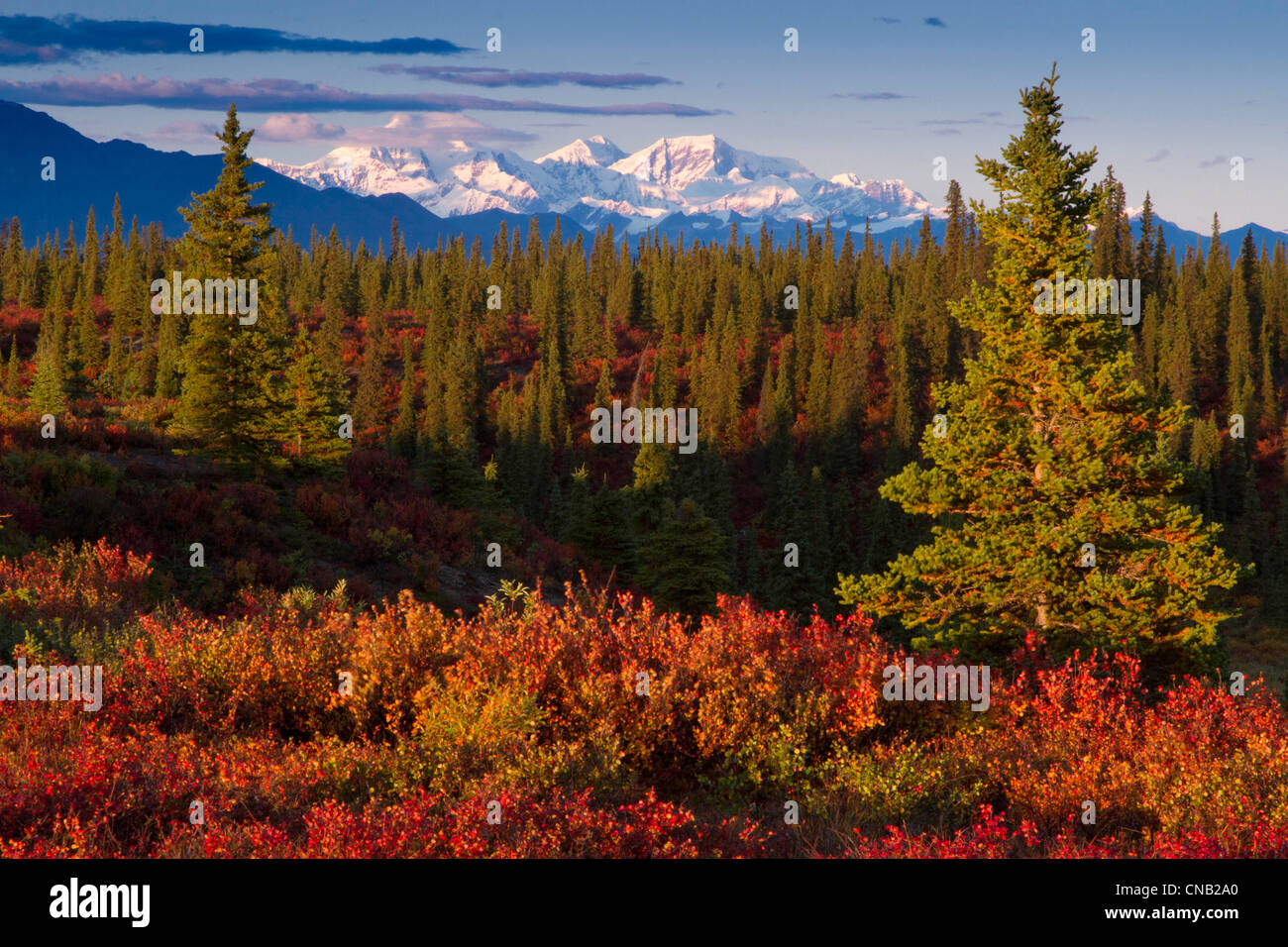 Panoramablick auf die Alaska Range und Herbst farbige borealen Wald