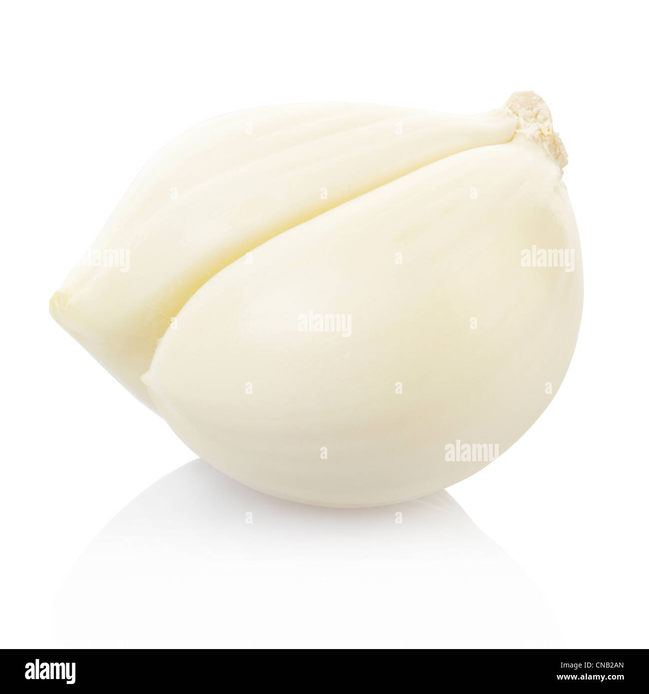 Knoblauchzehe Stockfoto