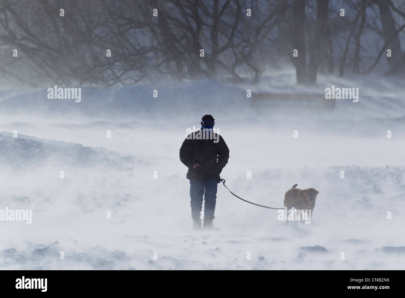 Wind Böen bis 70 km/h an einem Wintermorgen als ein Mann geht seinen Hund Sandy Beach, Douglas Island, Juneau, Alaska, Winter Stockfoto