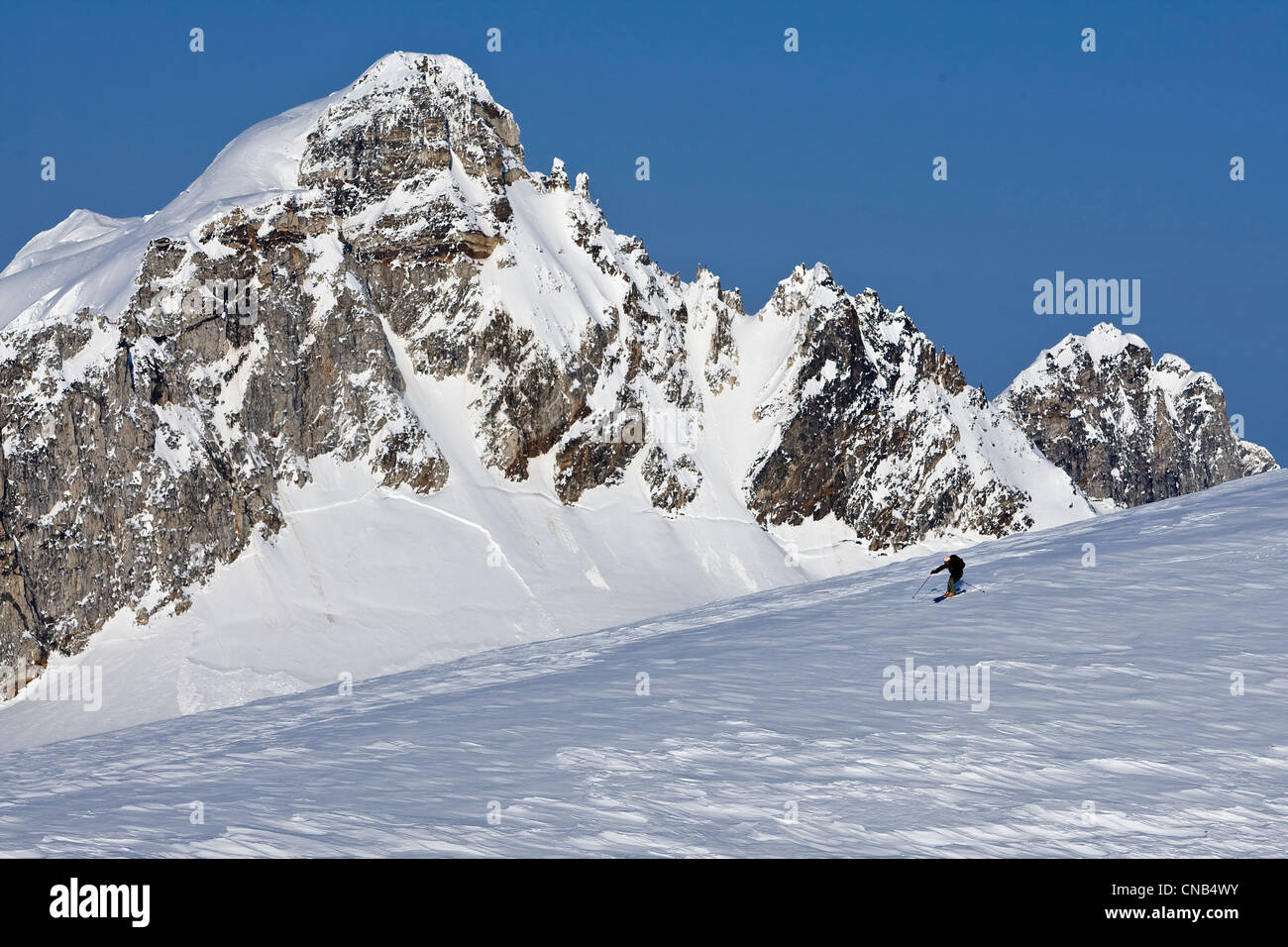 Alpin-Skifahrer auf den Juneau Eisfeld mit Rhino Peak im Hintergrund, Juneau, Alaska Southeast, Winter Stockfoto