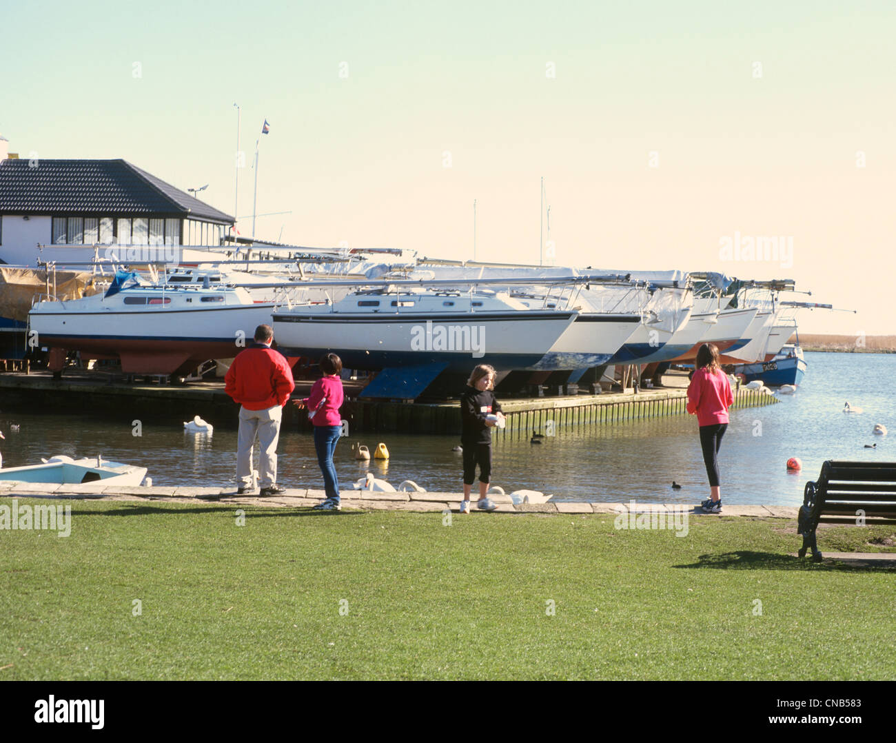 Christchurch Dorset Kai Fütterung die Schwäne von Marina Stockfoto