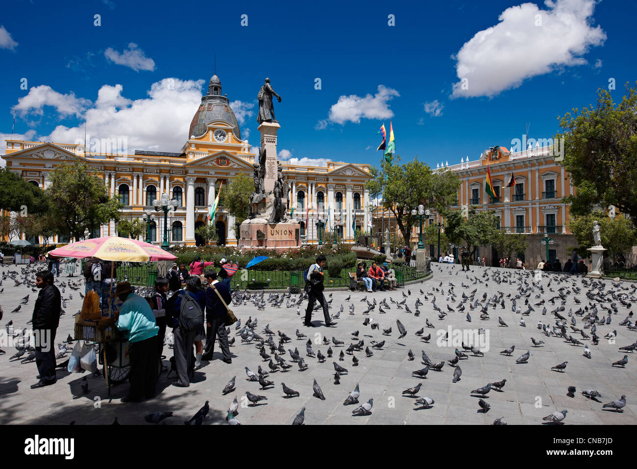 Tauben auf Plaza Murillo, hinter National Congress Building oder Palacio Legislativo, Congreso De La República, Plaza Murillo Stockfoto