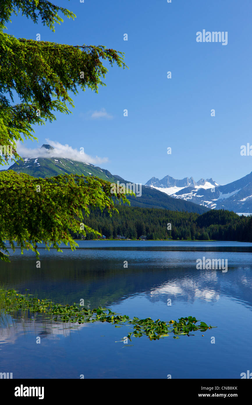 Panoramablick auf Auke See und Mendenhall-Gletscher und Coast Range Mountains, südöstlichen Alaska, Sommer Stockfoto