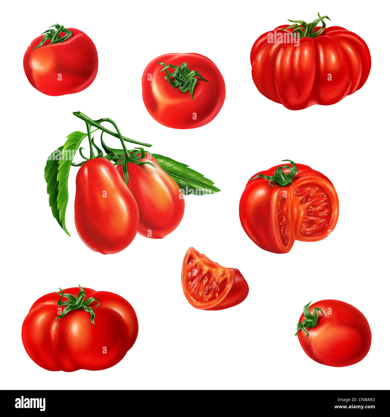 Einige Tomaten der anderen Art. Airbrush Illustration. Freisteller, mit Clipping-Pfad enthalten. Stockfoto