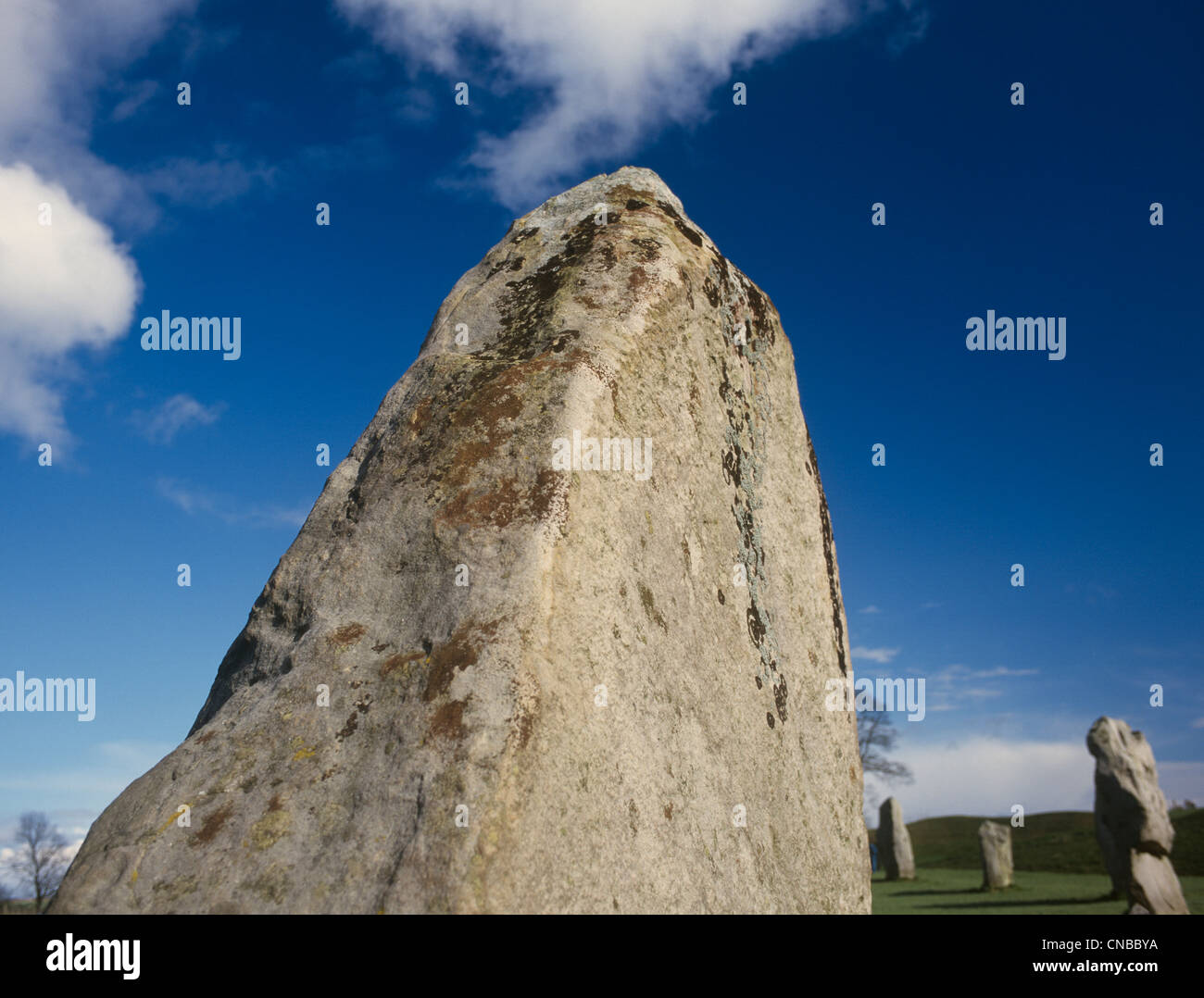 Avebury WI SW Quadrant Detail der Standing stone Stockfoto