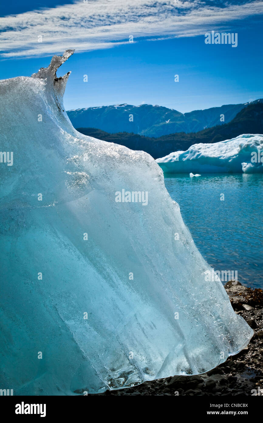 Eisberge von McBride Gletscher gestrandet am Ufer bei Ebbe, Muir Inlet, Glacier Bay Nationalpark & Preserve, Südost-Alaska Stockfoto