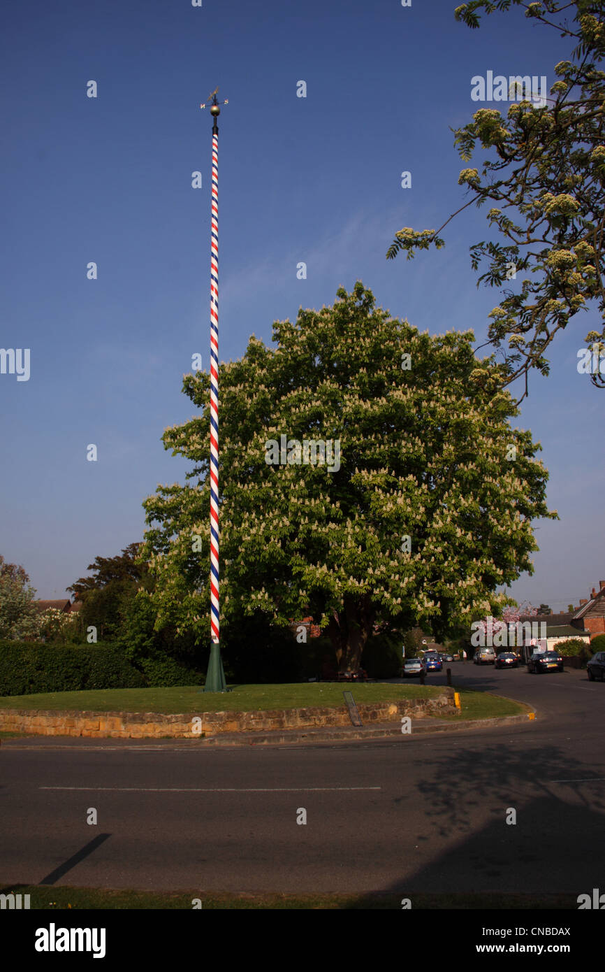 Der Maibaum am Welford on Avon, Warwickshire, eines der höchsten Maistange in England - 65 Fuß (20 m) Stockfoto