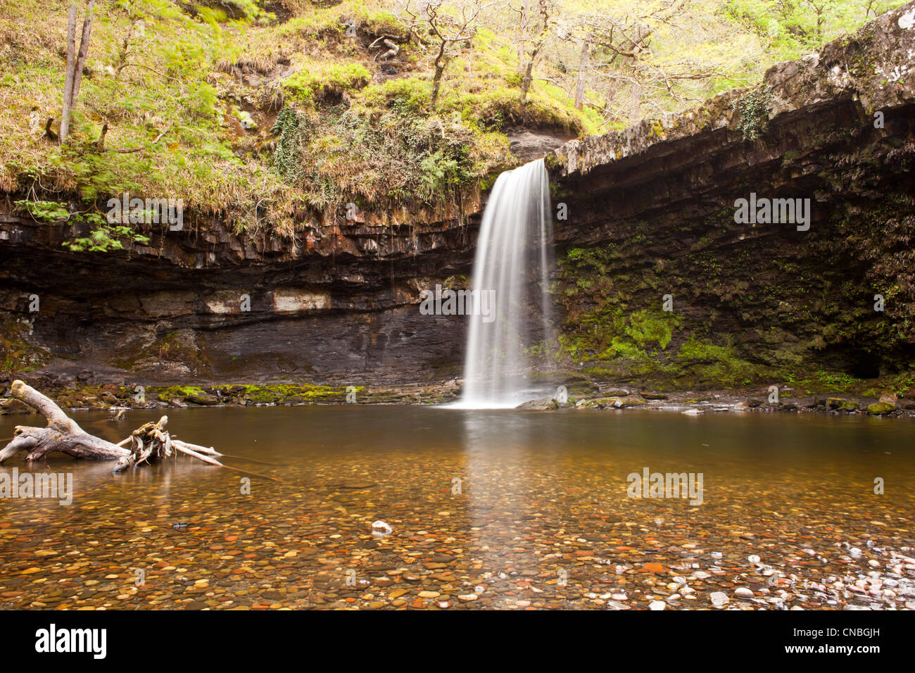 Wasserfälle, Bergfluss und feuchten Wäldern im Tal am Ystradvelte in Brecon Beacons, Wales, Großbritannien. Stockfoto