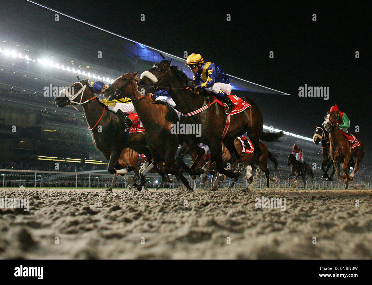 Pferde und jockeys auf dem Meydan Pferderennbahn, Dubai, Vereinigte Arabische Emirate Stockfoto