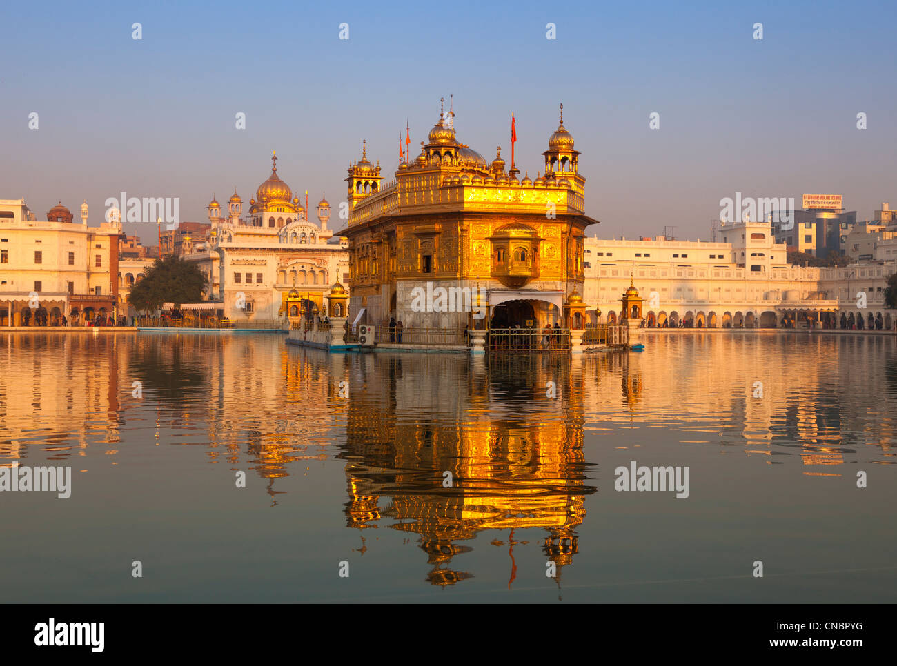 Indien, Punjab, Amritsar, Goldener Tempel im goldenen Morgenlicht Stockfoto