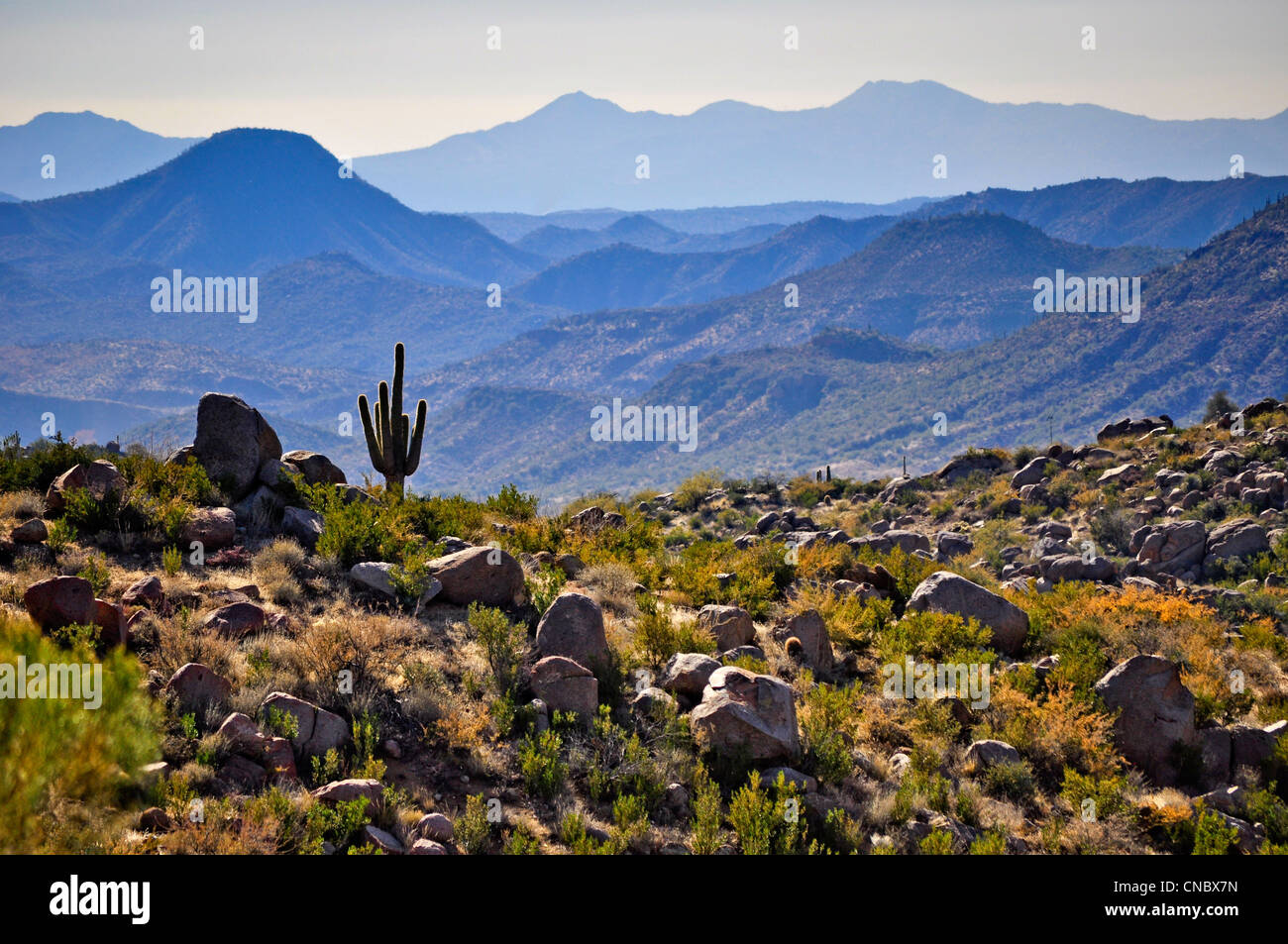 Arizona-Landschaft Stockfoto