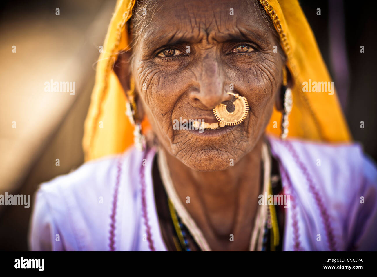Indien, Rajasthan state, Nagaur, Kamel-Messegelände, Portrait einer älteren Frau, die Zugehörigkeit zu einer Familie von Kamel Händler Stockfoto