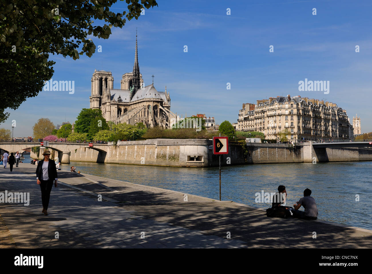 Frankreich, Paris, Weltkulturerbe der UNESCO und Kathedrale Notre-Dame auf der Île De La Cité und der Pont Seine-Ufer Stockfoto