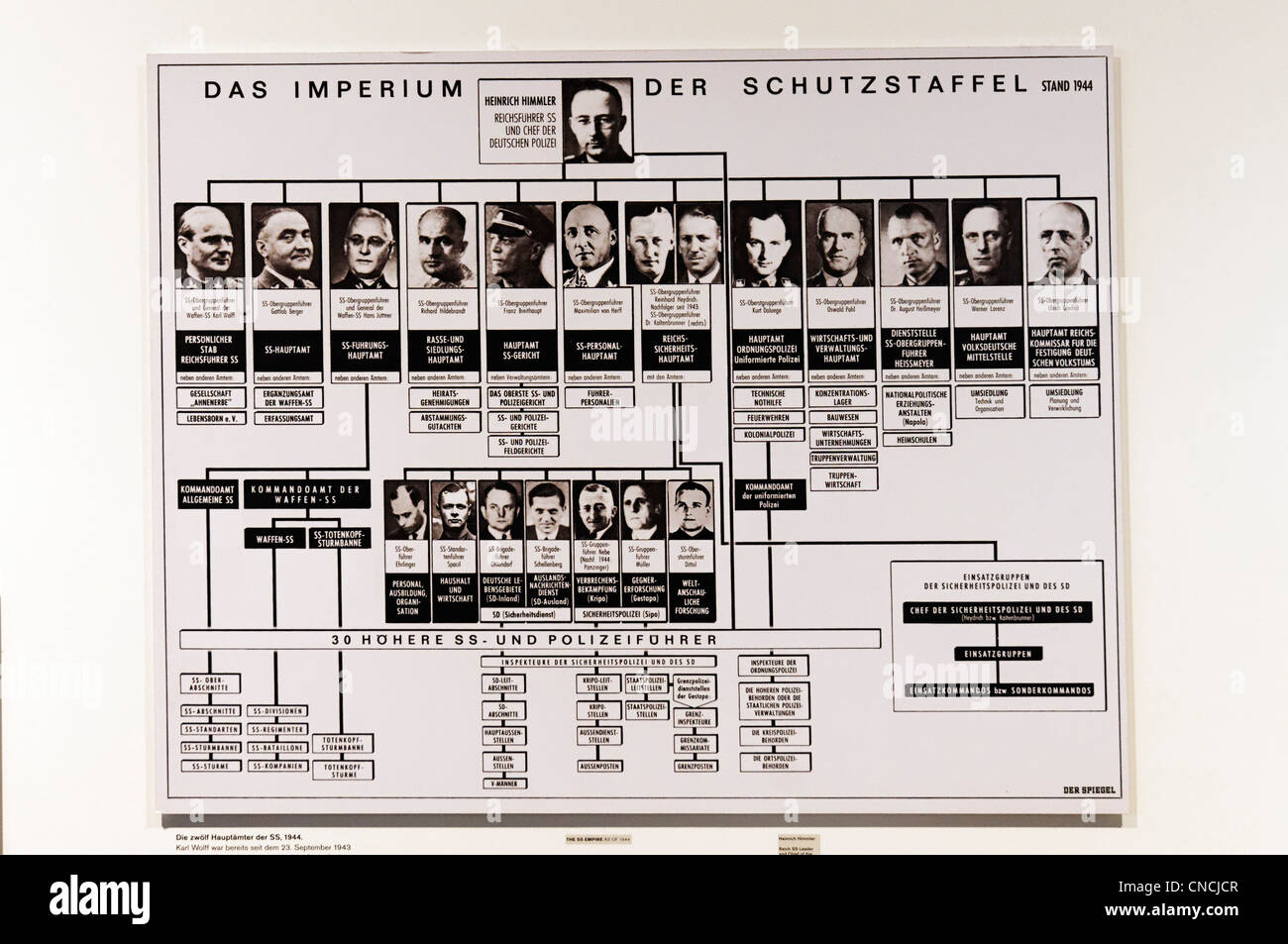 Einen Stammbaum der SS-Befehl Struktur mit Heinrich Himmler an der Oberseite Stockfoto
