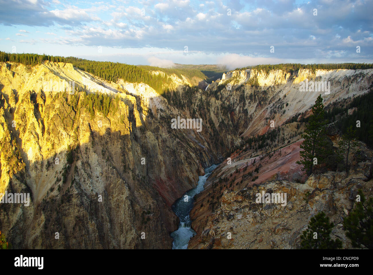 Erste Sonne auf den Grand Canyon des Yellowstone mit Yellowstone River, Wyoming Stockfoto