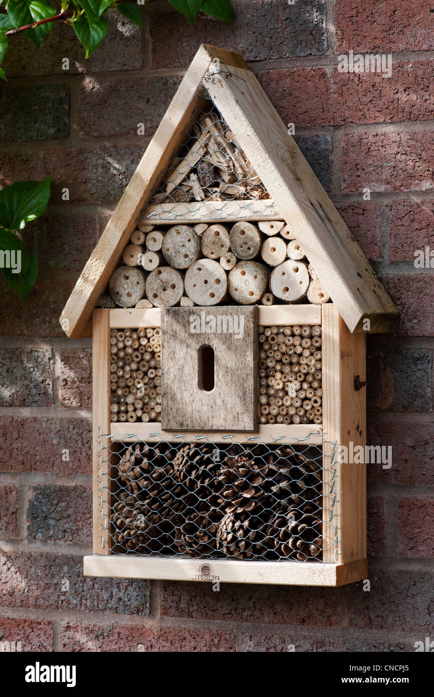 Inscet box für die Förderung Insekten (Tiere) in den Garten. Großbritannien Stockfoto