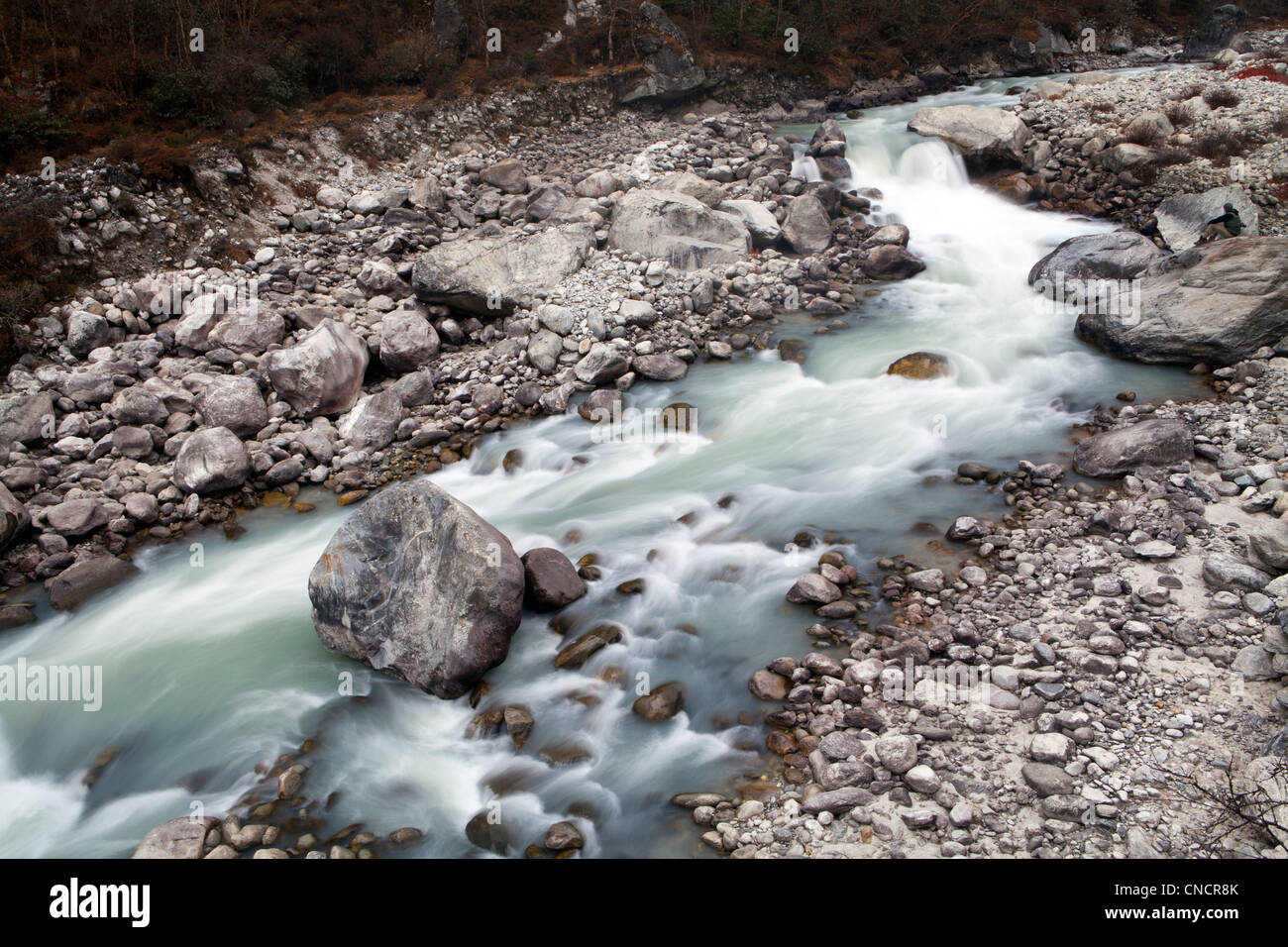 Die rauschenden Wasser des Dudh Kosi in Phortse Tenga auf der Spur nach Gokyo Ri in Nepal Stockfoto