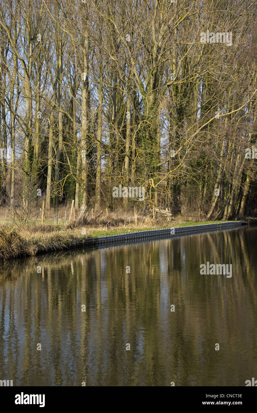 Bilder von england Stockfoto