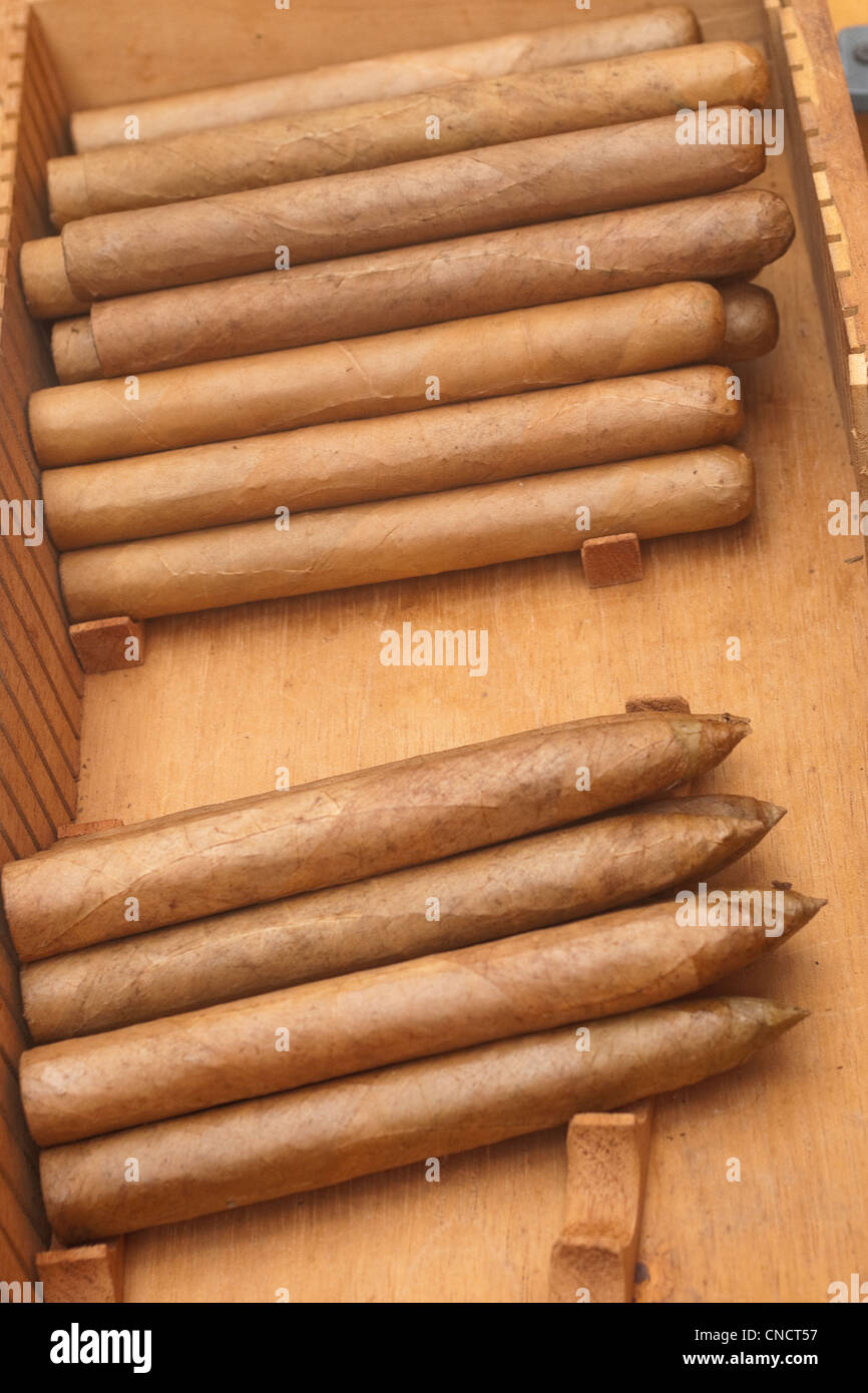 Handgemachte Zigarren zum Verkauf an das fest von San Gennaro Stockfoto