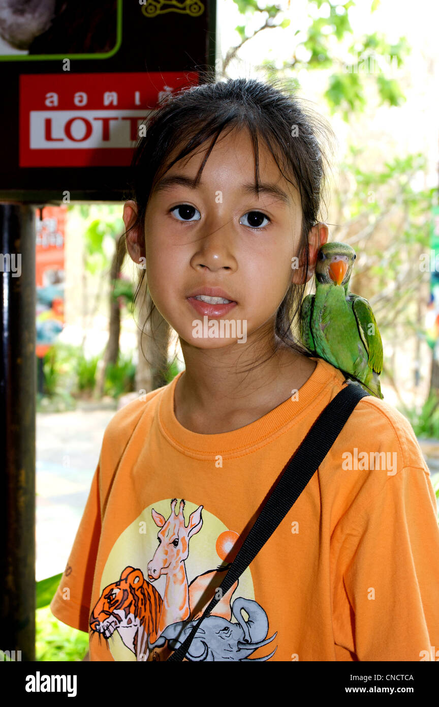 Electus Papageien, sitzen auf Mädchen auf Schulter, zahm, schon Mai Zoo, Thaialnd Stockfoto