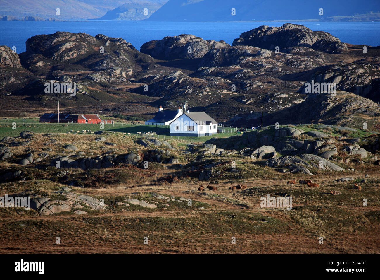 Landhäuser auf der Ross Mull auf der Isle of Mull in Schottland Stockfoto