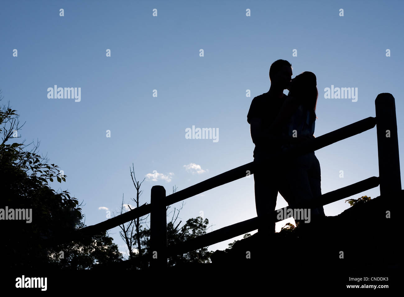 Silhouette von einem liebevollen paar romantisch küssen einander in den frühen Abendstunden. Stockfoto