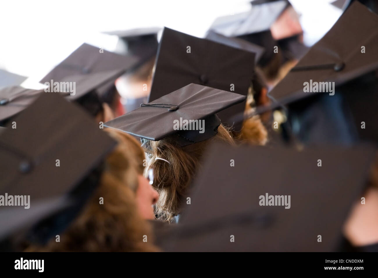 Eine Gruppe von College oder High School Absolventen tragen die traditionelle Mütze und Mantel. Geringe Schärfentiefe. Stockfoto