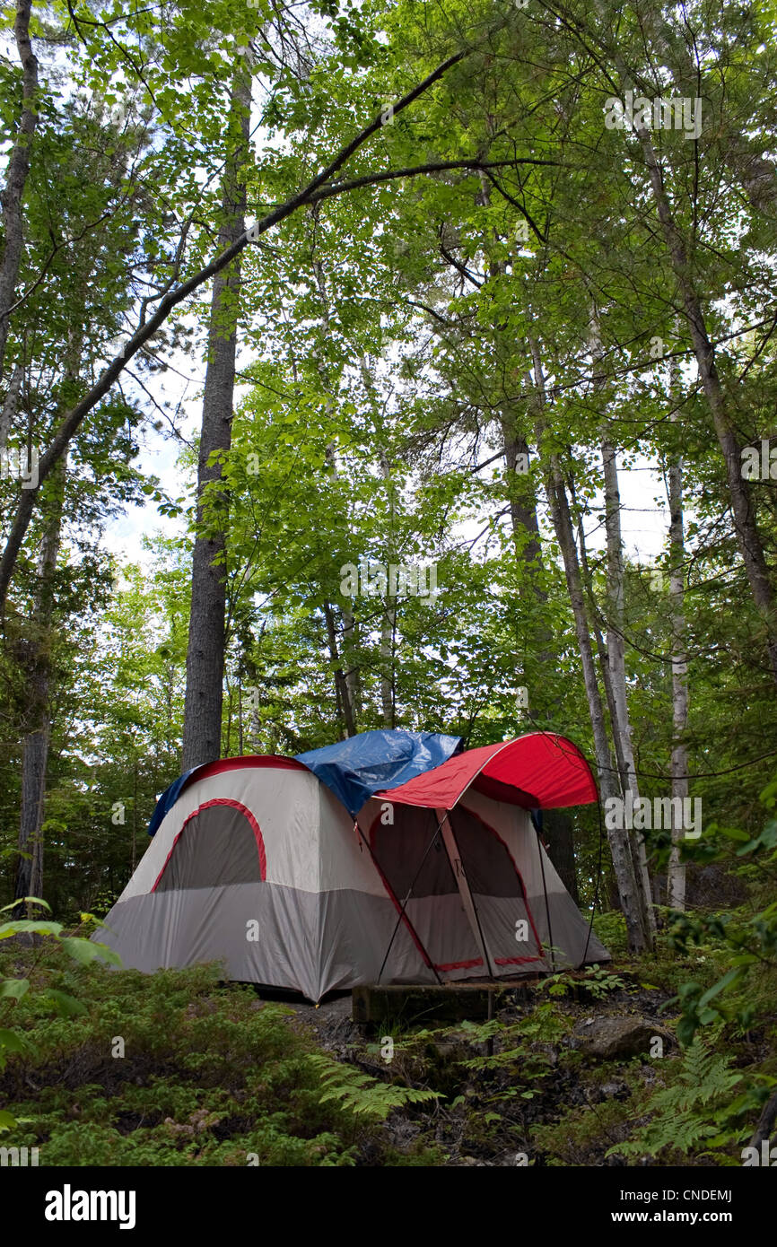 Weitwinkel-Panorama eine stark bewaldete Campingplatz in den Adirondacks. Stockfoto