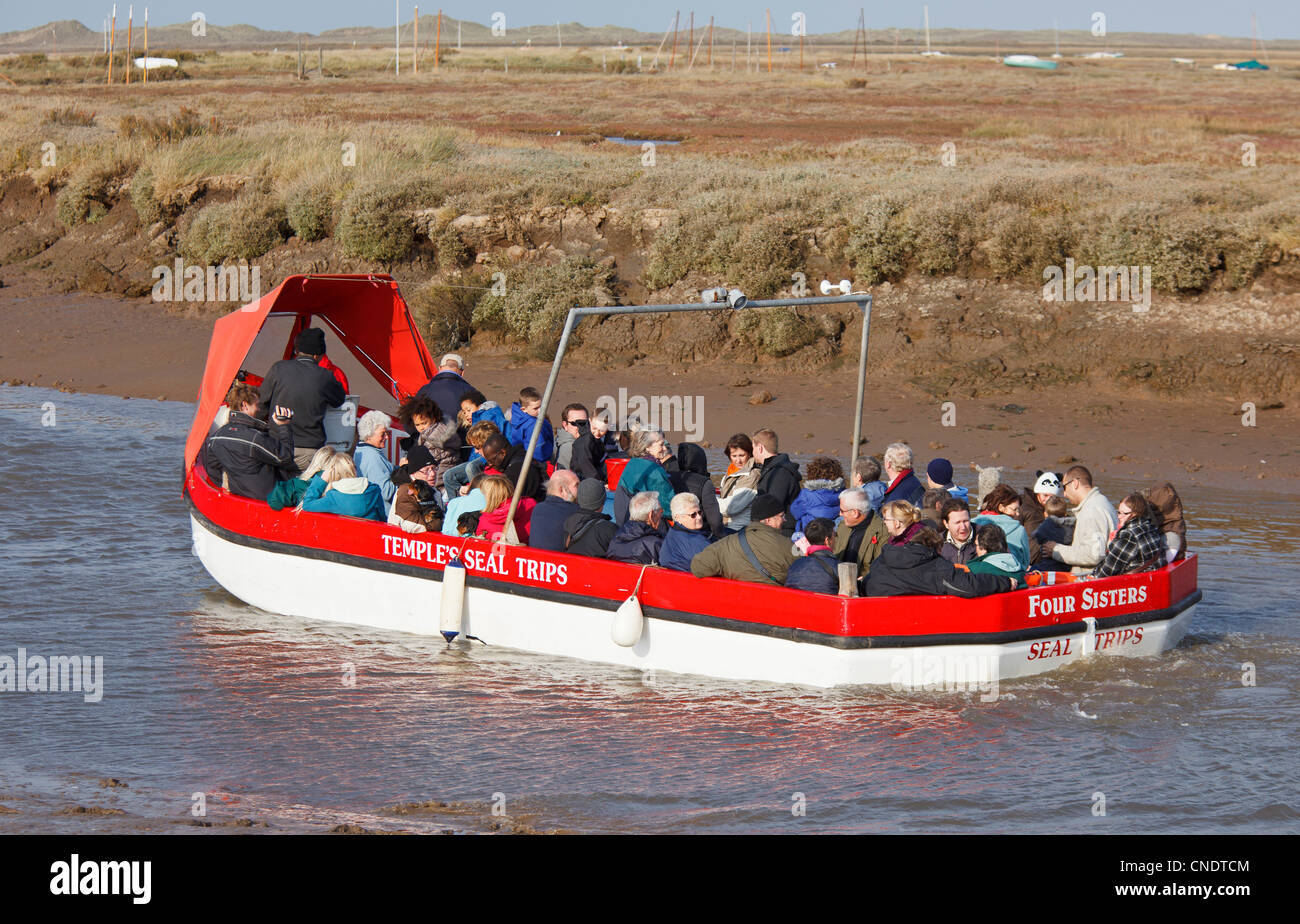 Menschen auf eine Reise, die Seehunde auf den Sandbänken vom "Morston Quay", der nur zu sehen die "North Norfolk Coast'UK Stockfoto