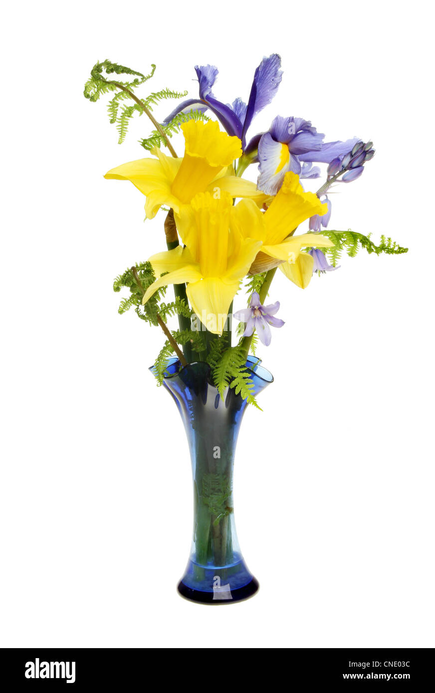 Anordnung der Narzisse, Iris und Bluebell Blumen mit Farn Wedel in einer Glasvase isoliert gegen weiß Stockfoto