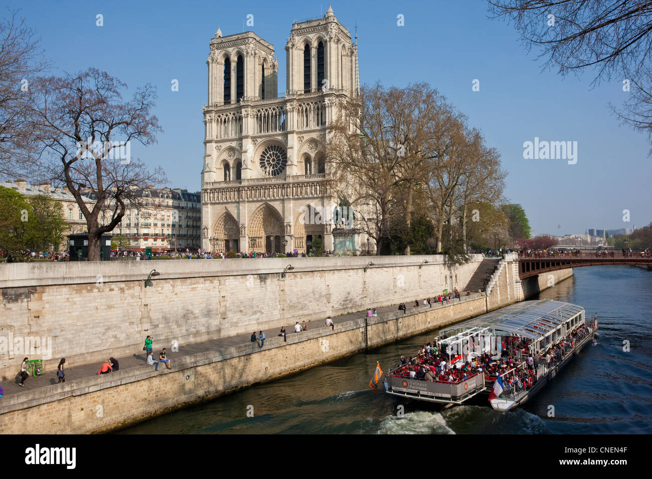 Touristenboot auf Seine übergibt der Notre-Dame mit Pont au Double in der Ferne, Paris, Frankreich Stockfoto