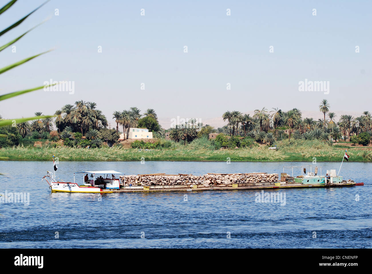 Kahn, den Transport von Stein in Luxor Reihe 3122 Stockfoto