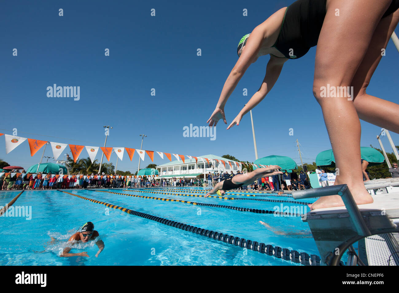 Schwimmerin am Startblock Stockfoto