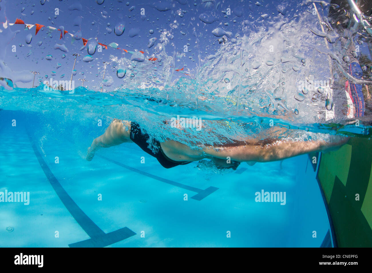 Schwimmerin berührt Wand Stockfoto