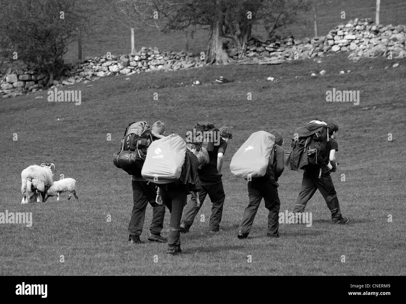 Wanderurlaub in North Yorkshire Dales, in der Nähe von West Burton, Wensleydale, Richmondshire, UK Stockfoto