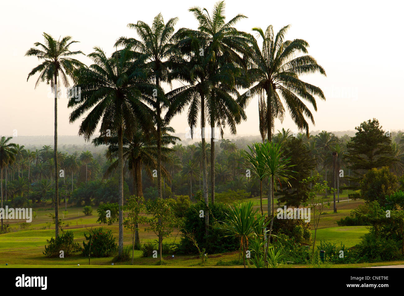 Ein Abschnitt des 18-Loch-Golfplatzes im Le Meridien Golf Resort in Uyo in Akwa Ibom State im TheNiger-Delta im Süden Nigeria Stockfoto