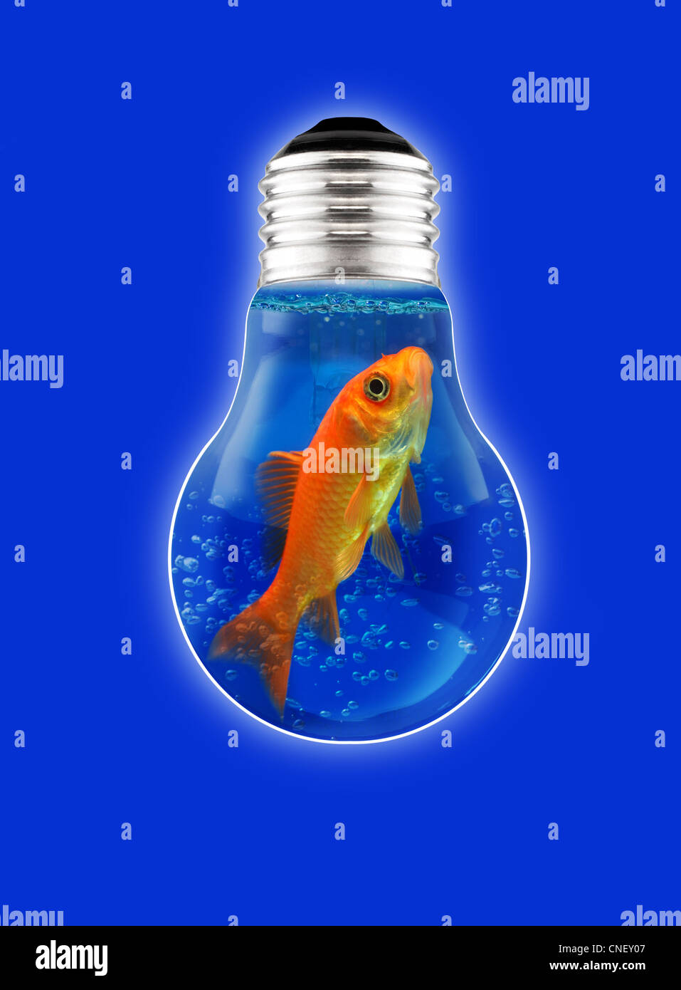 Denken Sie Behälter, Goldfisch, Idee, Glühlampe, Funken Phantasie Stockfoto
