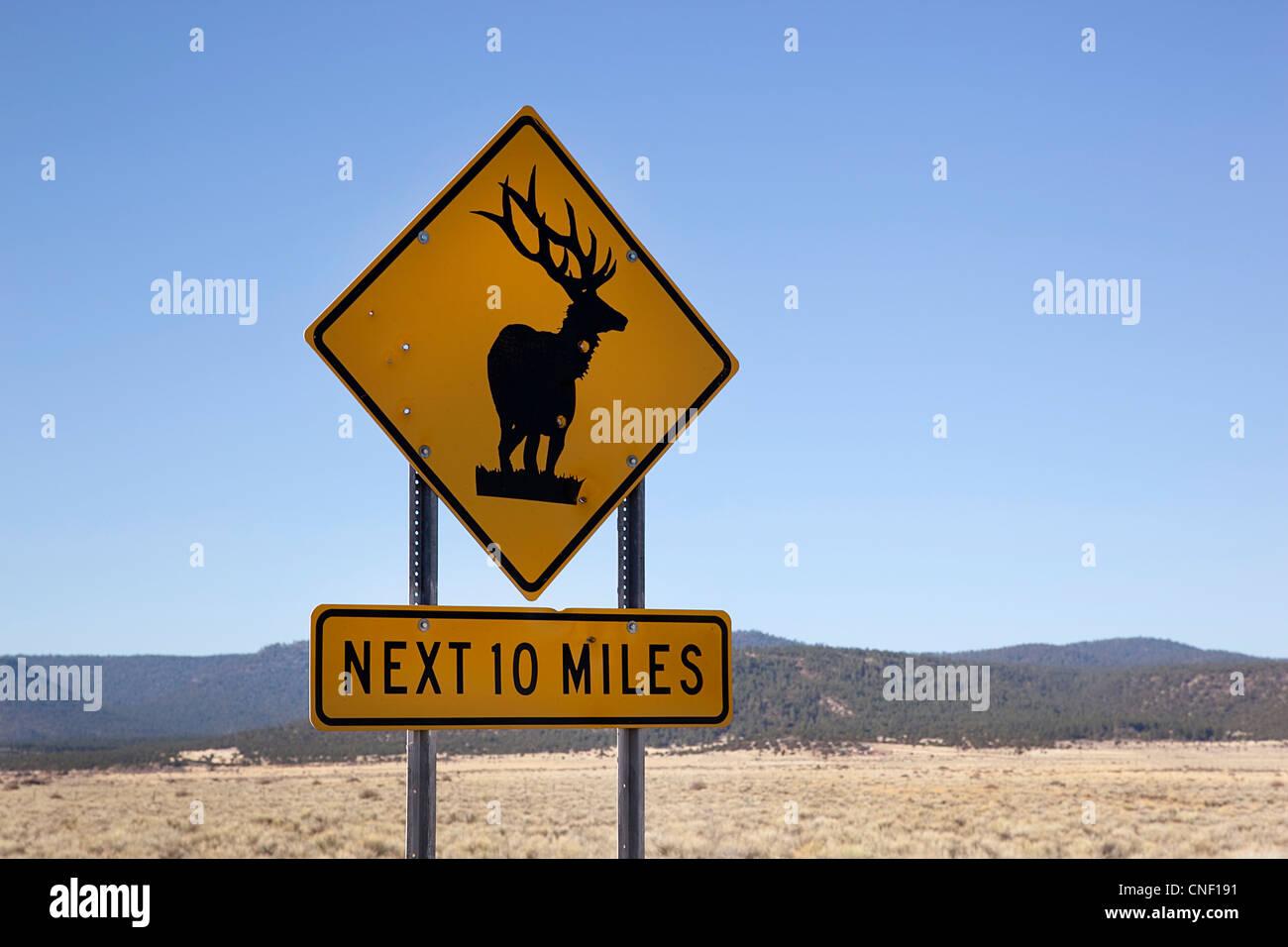 Warnzeichen für Schwarzwild in Arizona USA Stockfoto