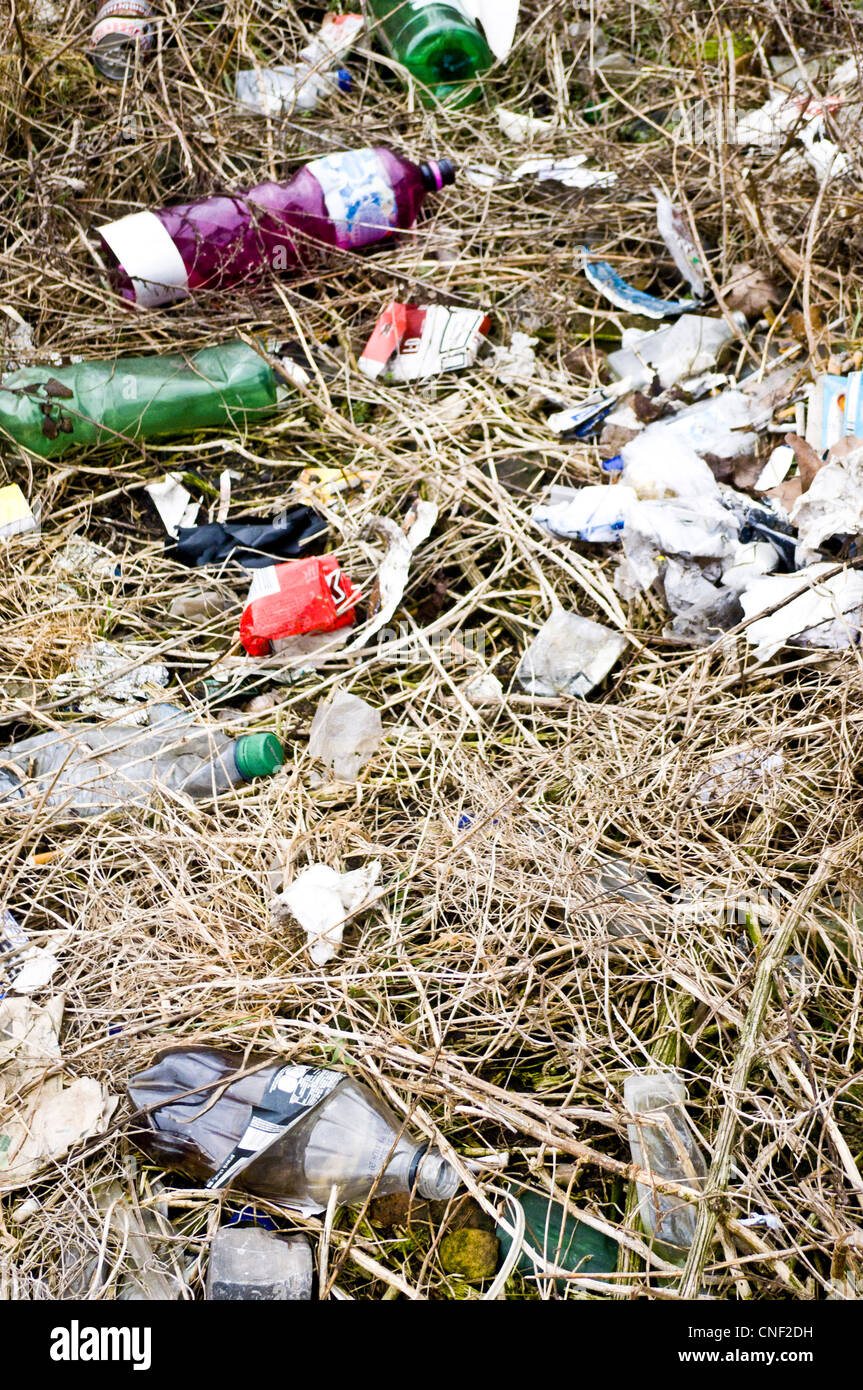 Müll auf einer Wiese aufgegeben Stockfoto