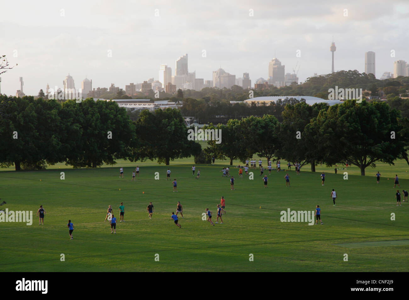 Männer und Frauen spielen Fußball in einem Park in Sydney, Australien Stockfoto