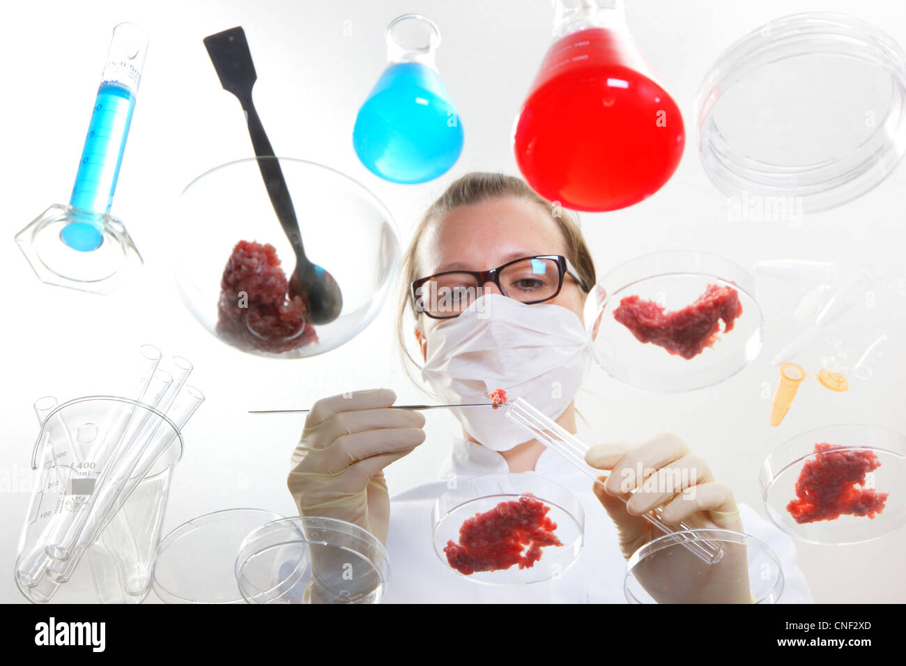 Symbolisches Bild, Essen Untersuchung. Ein Labortechniker untersucht verschiedene Lebensmittel wie Fleisch, Sprossen, Hühnereier. Stockfoto