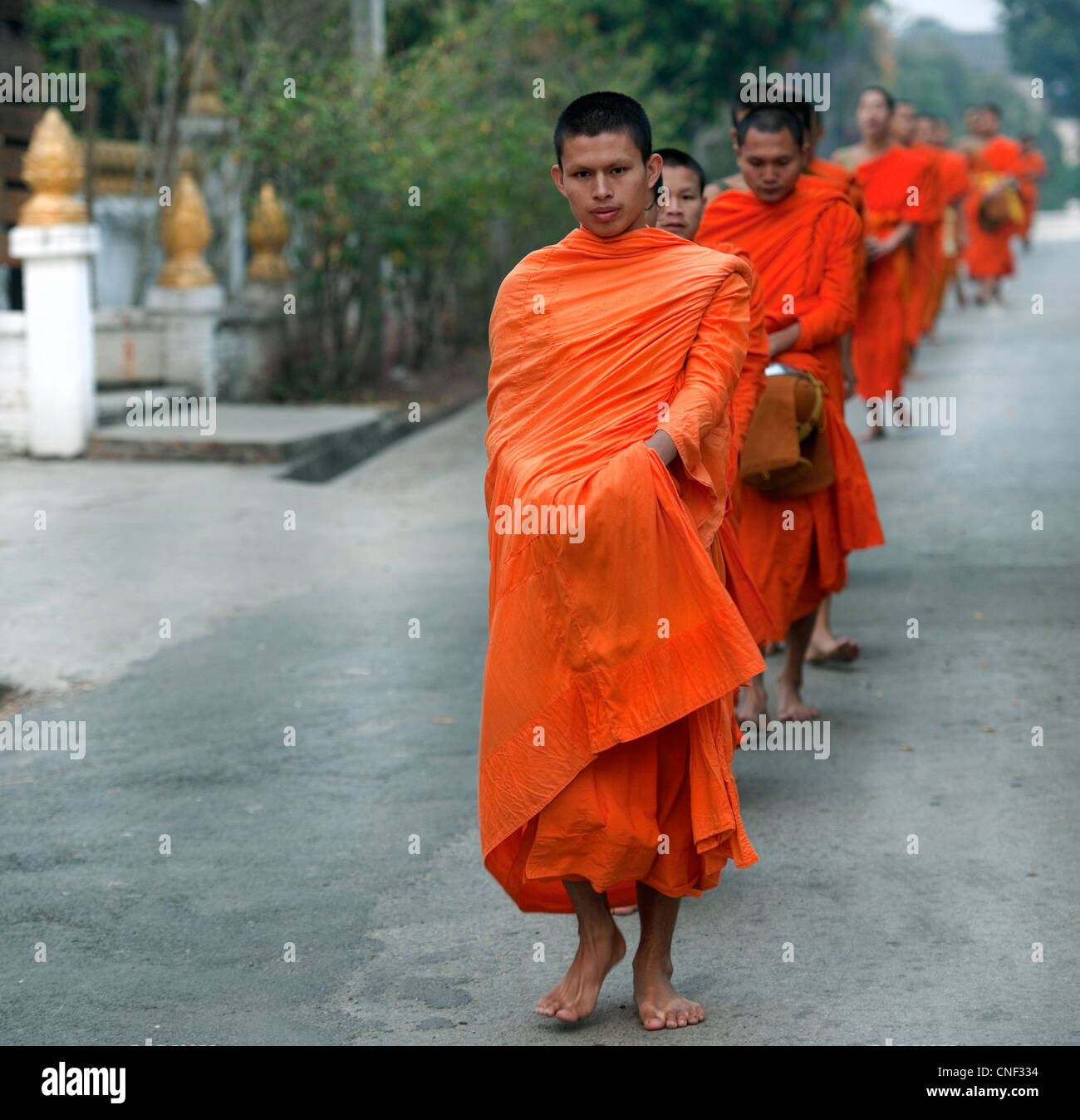 Barfüßigen Prozession Mönche wandern in tragen Safran Roben während morgen Almosen in Luang Prabang, Laos Stockfoto