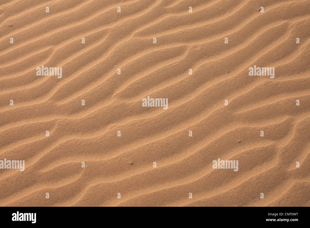 Sand Textur im detail Stockfoto